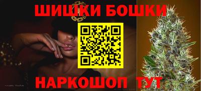 spice Новозыбков