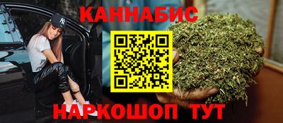 прущие грибы Новодвинск