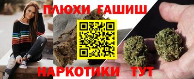 прущие грибы Новодвинск