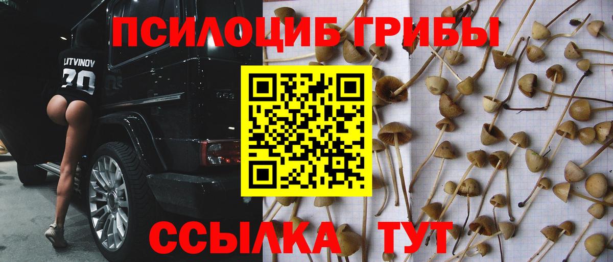 Псилоцибиновые грибы ЛСД  Вход с VPN  Тайшет 