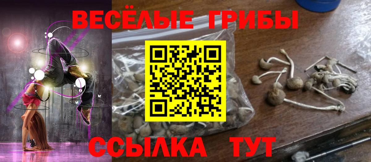Галлюциногенные грибы Cubensis Тайшет