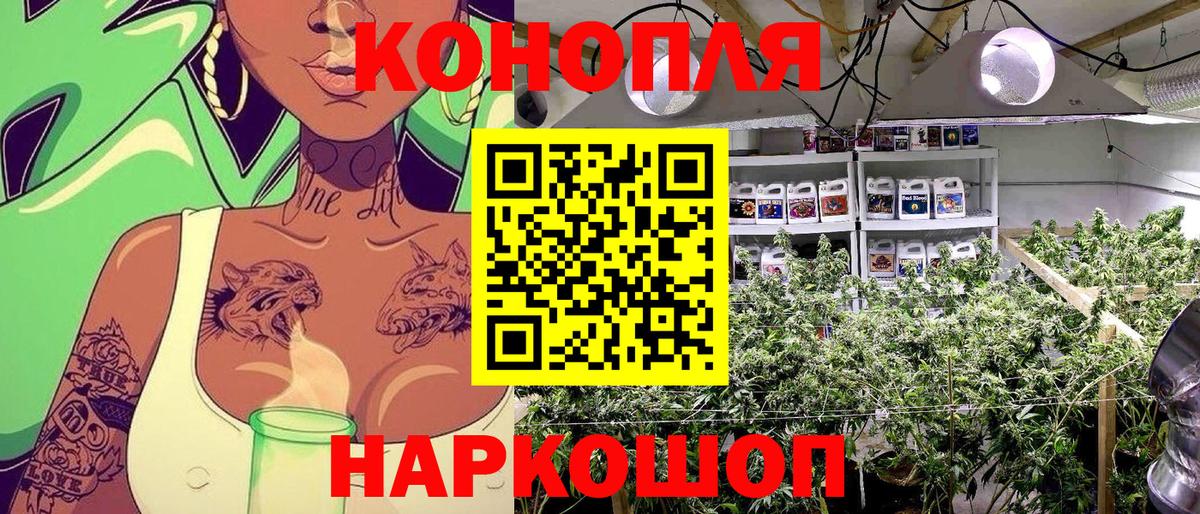 Марихуана семена  Вход с VPN  Каннабис ГИДРОПОН  Бошки марихуана LSD WEED  Тайшет 